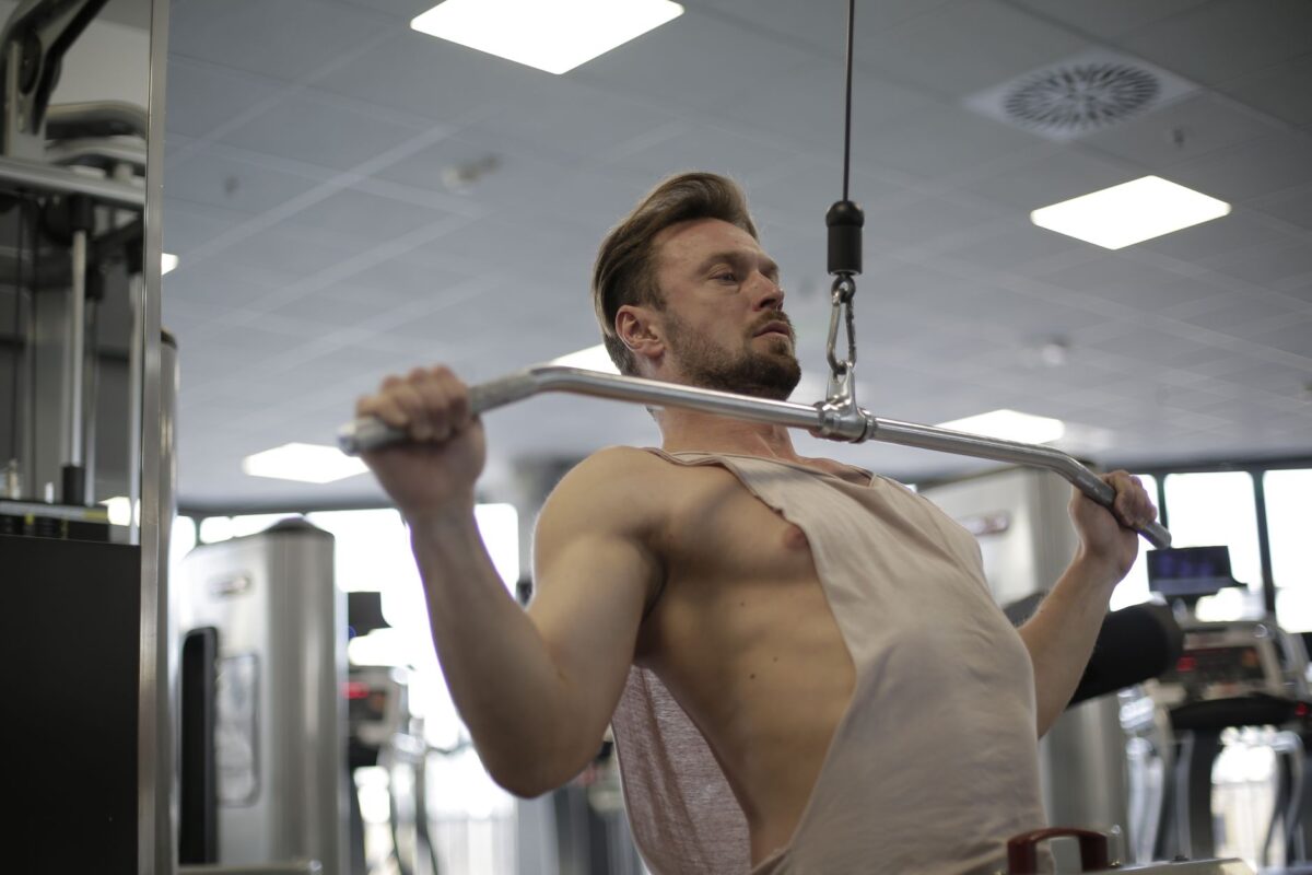 exercices biceps sélection variantes choisir adapter