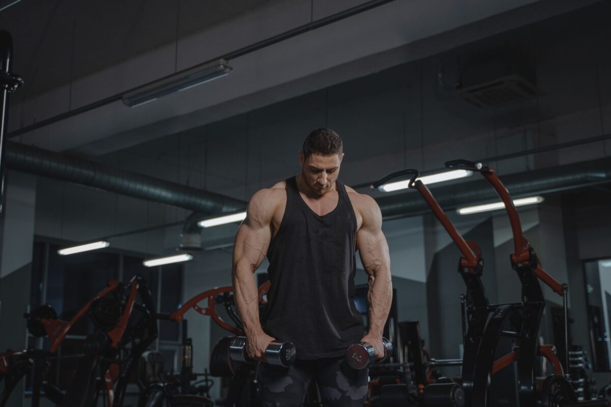exercices biceps sélection choisir