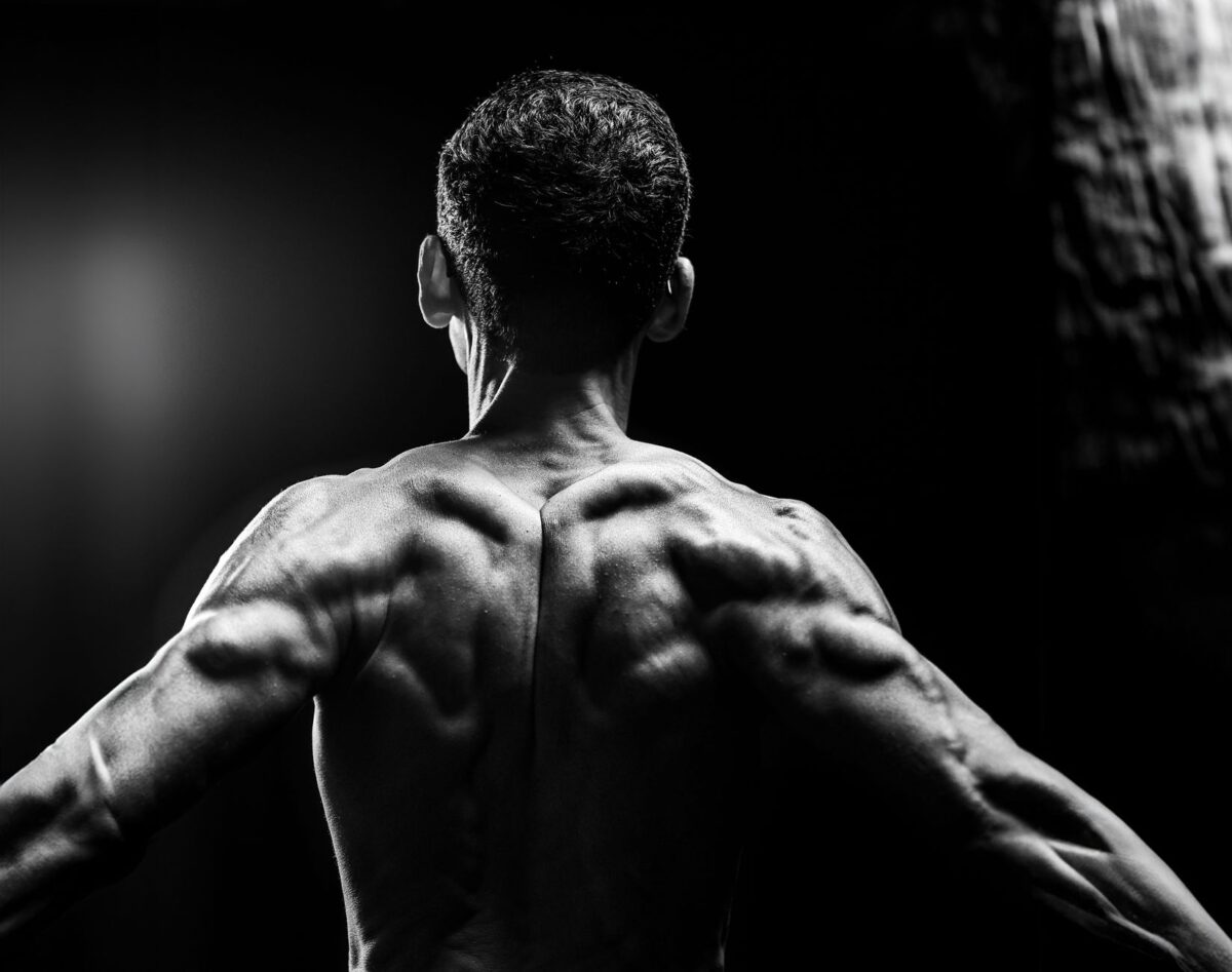 programme musculaire sèche erreurs fréquentes éviter